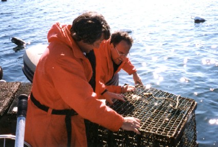 Fred Page and Randy Losier check a mussel cage.