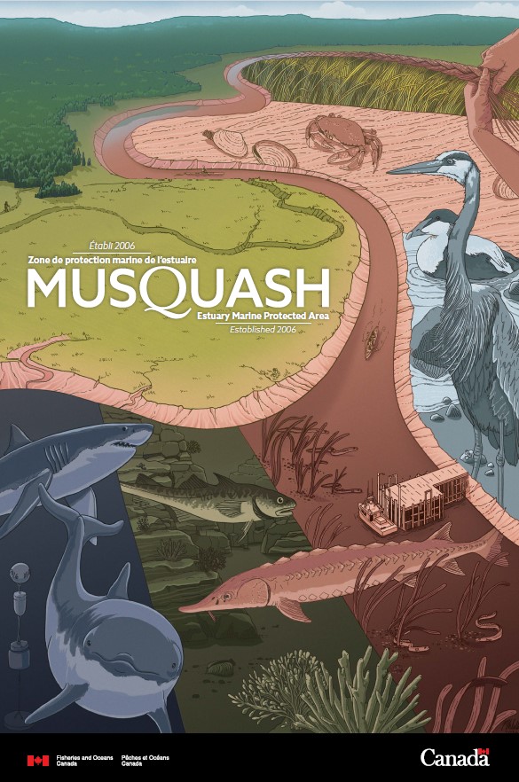ZPM de l'estuaire de la Musquash affiche